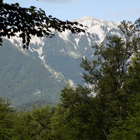 Na Planini Holiday home *